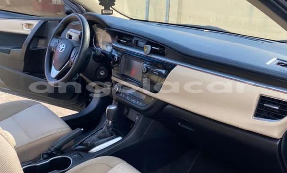 Buy Used Toyota Corolla Black Car in Luena in Moxico Buy Used Toyota Corolla Black Car in Luena in Moxico