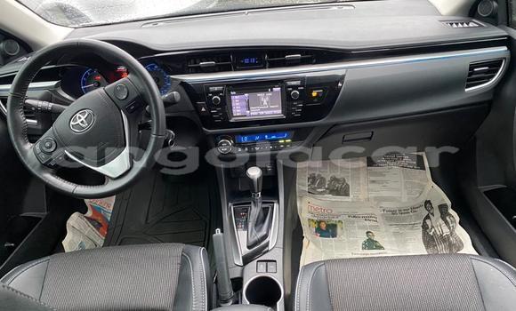 Comprar Usado Toyota Corolla Prata Carro em N’dalatando em Cuanza Norte Province Comprar Usado Toyota Corolla Prata Carro em N’dalatando em Cuanza Norte Province