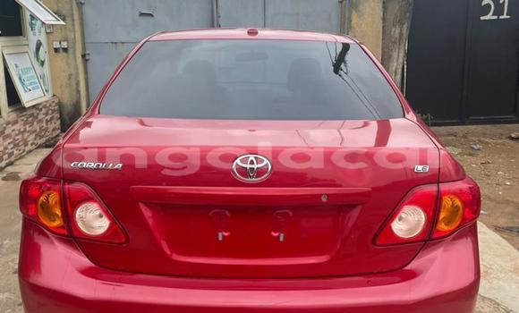 Buy Used Toyota Corolla Red Car in Luanda in Luanda Province Buy Used Toyota Corolla Red Car in Luanda in Luanda Province