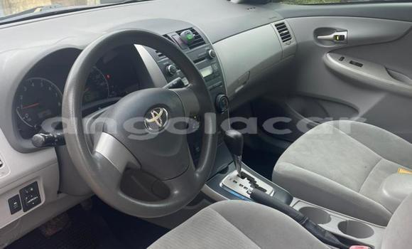 Buy Used Toyota Corolla Red Car in Luanda in Luanda Province Buy Used Toyota Corolla Red Car in Luanda in Luanda Province