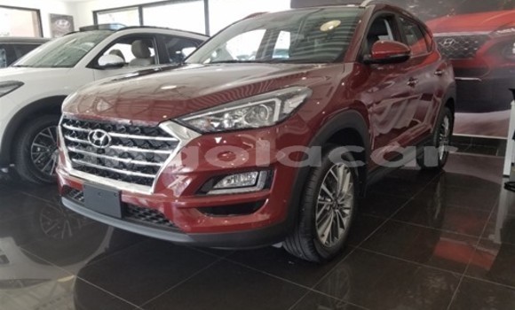 Buy Used Hyundai Tucson Red Car in Luanda in Luanda Province Buy Used Hyundai Tucson Red Car in Luanda in Luanda Province