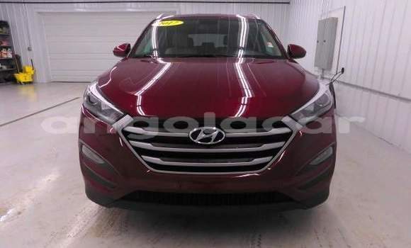 Comprar Novo Hyundai Tucson Outro Carro em Caxito em Bengo Comprar Novo Hyundai Tucson Outro Carro em Caxito em Bengo