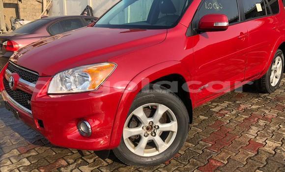 Buy Used Toyota RAV4 Red Car in Soyo in Zaire
