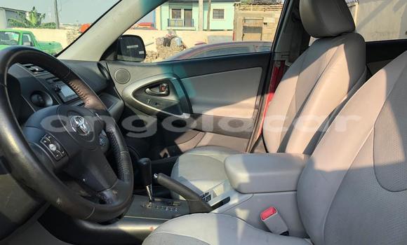 Buy Used Toyota RAV4 Red Car in Soyo in Zaire Buy Used Toyota RAV4 Red Car in Soyo in Zaire