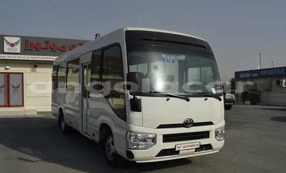 Buy New Toyota Coaster White Car in Lobito in Benguela