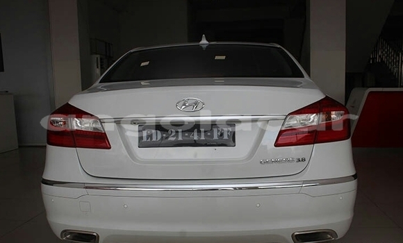 Buy New Hyundai Genesis White Car in Lobito in Benguela Buy New Hyundai Genesis White Car in Lobito in Benguela