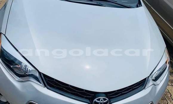 Comprar Usado Toyota Corolla Branco Carro em N'zeto em Zaire Comprar Usado Toyota Corolla Branco Carro em N'zeto em Zaire