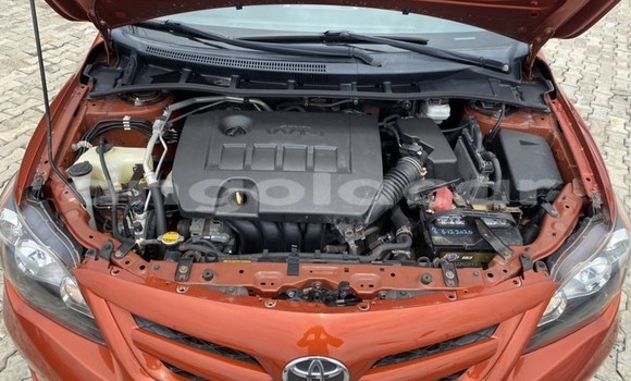 Buy Used Toyota Corolla Brown Car in Luanda in Luanda Province Buy Used Toyota Corolla Brown Car in Luanda in Luanda Province