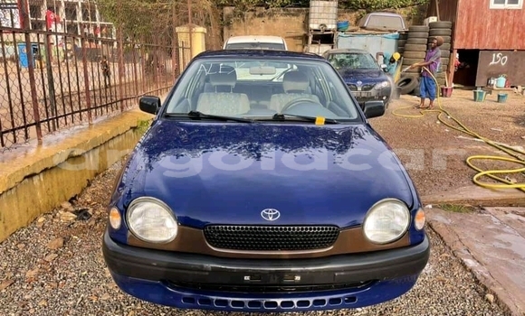 Acheter Occasion Voiture Toyota Corolla Autre à N'dalatando, Province de Cuanza Norte