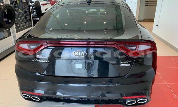 Comprar Usado Kia Stinger Preto Carro em Luanda em Luanda Province Comprar Usado Kia Stinger Preto Carro em Luanda em Luanda Province