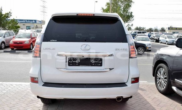 Comprar Importar Lexus GX Branco Carro em Import - Dubai em Bengo Province Comprar Importar Lexus GX Branco Carro em Import - Dubai em Bengo Province