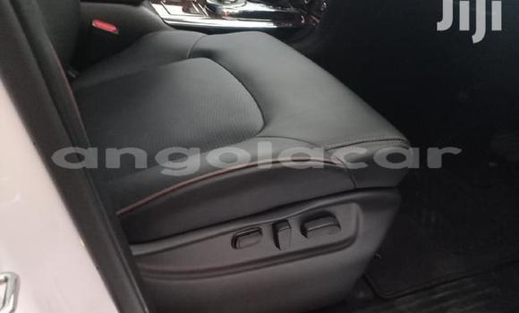 Buy Used Nissan Patrol White Car in Luanda in Luanda Province Buy Used Nissan Patrol White Car in Luanda in Luanda Province