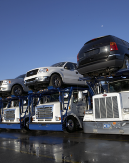 Thumb car import 8